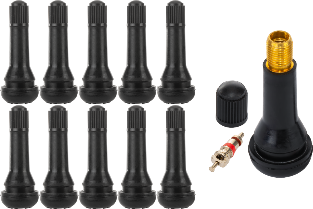 Lot de 10 valves TR 414 standard
